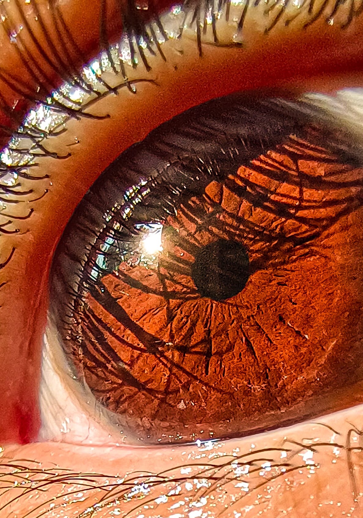 A close-up photograph of an eye.