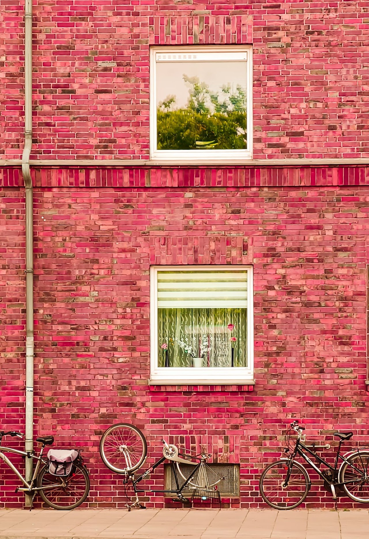 A pink brick building facade with windows and bicycles parked in front.